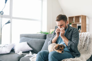 A man sneezing into a tissue with a small dog in his lap.