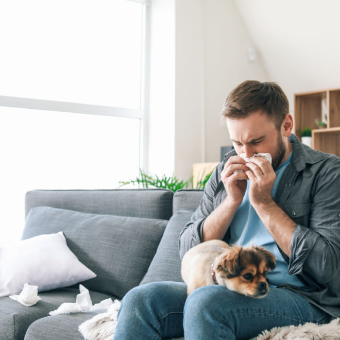 Is Indoor Air Quality Worse Than Outdoors?