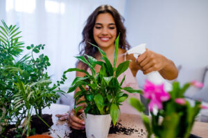 A smiling woman watering a plant on a wooden table.